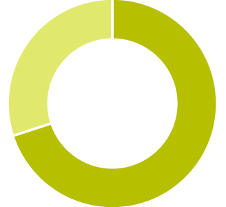 Pie chart - 74%