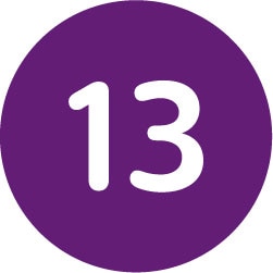 13 circle icon