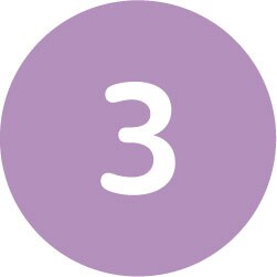 3 circle icon