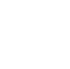 Lungs (Lunger), L12-4