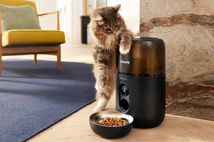 Bannervideo for Pet-serien