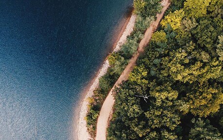 Et banner med luftfoto av tretopper og havet for å introdusere Philips' bærekraftsplaner