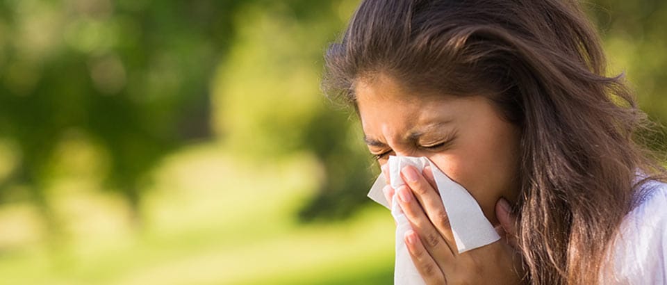 Allergener hjemme – Pollentyper og når de forekommer